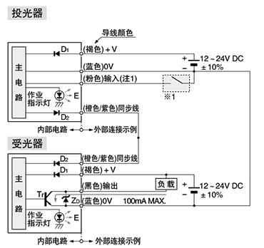 输入・输出电路图